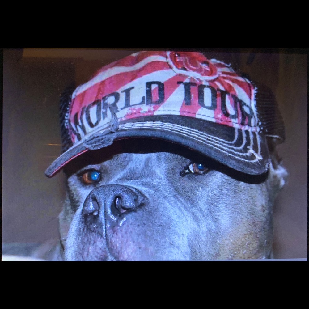 ISO True Religion World Tour cap